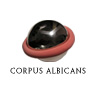 corpus albicans