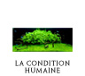 conditione humaine